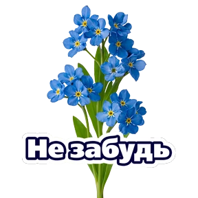Расцветай с Карьера в ВТБ — стикер для MAX