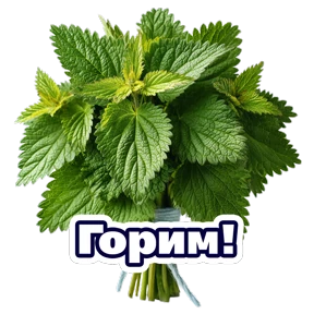 Расцветай с Карьера в ВТБ — стикер для MAX
