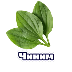 Расцветай с Карьера в ВТБ — стикер для MAX