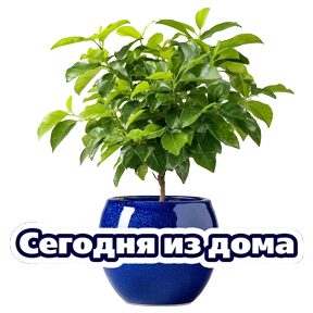 Расцветай с Карьера в ВТБ — стикер для MAX