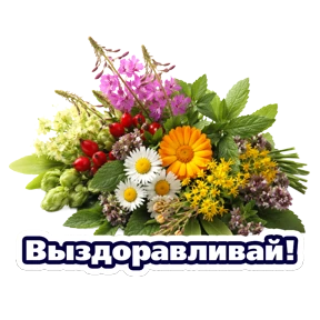 Расцветай с Карьера в ВТБ — стикер для MAX