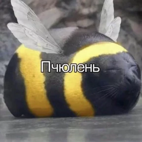 rrollfr — стикер для MAX