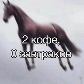 rrollfr — стикер для MAX