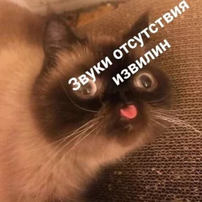 rrollfr — стикер для MAX