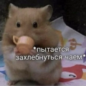 rrollfr — стикер для MAX