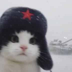 rrollfr — стикер для MAX