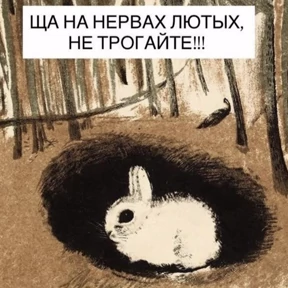 rrollfr — стикер для MAX