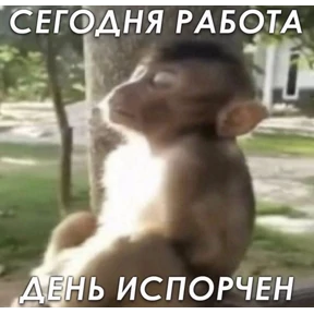 сосите — стикер для MAX