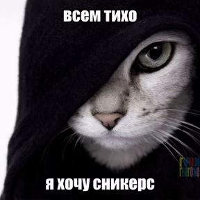 Элизавета — стикер для MAX