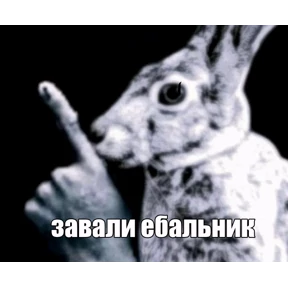 Анечки — стикер для MAX