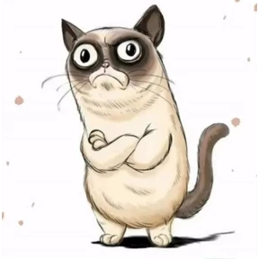 Котик — стикер для MAX