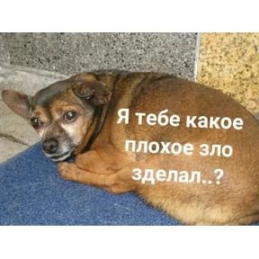 Пак — стикер для MAX