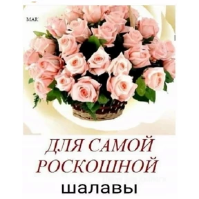 Пак — стикер для MAX