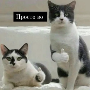 Животные — стикер для MAX