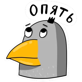 Фото — 25 августа 2026 г. в 11:54:02.539