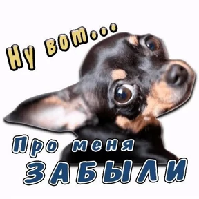 Сизовский. — стикер для MAX