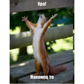 Сизовский. — стикер для MAX