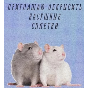 Крыса в крысу — стикер для MAX