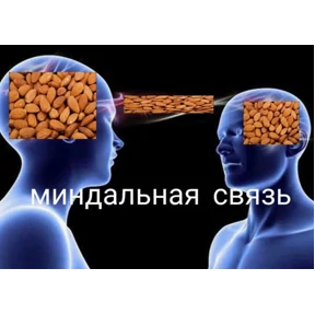 Для важных переговоров — стикер для MAX