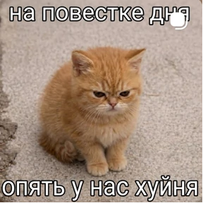 Новые — стикер для MAX