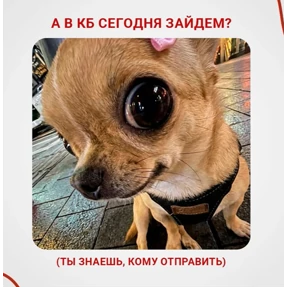 Новые — стикер для MAX
