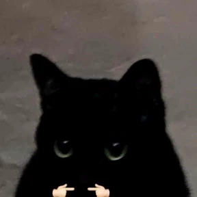 my2 — стикер для MAX
