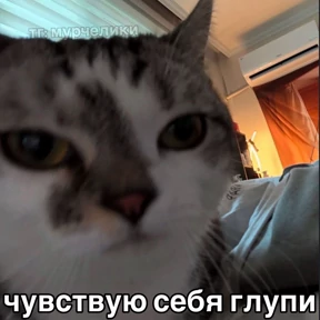 my2 — стикер для MAX