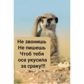 Приколы — стикер для MAX