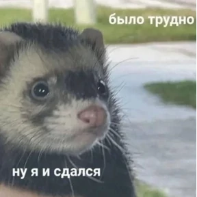 work — стикер для MAX
