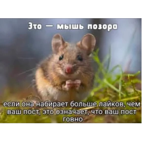 Ответочка — стикер для MAX