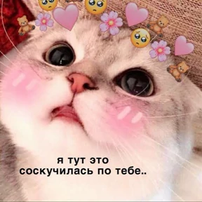 Ксенькины мемчики — стикер для MAX