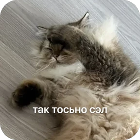 Булосьная полисия — стикер для MAX