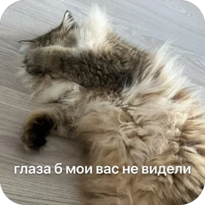 Булосьная полисия — стикер для MAX