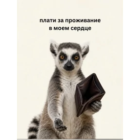 Новые — стикер для MAX