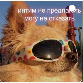 Новые — стикер для MAX