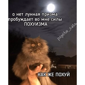 Работаработа перейди на Федота — стикер для MAX