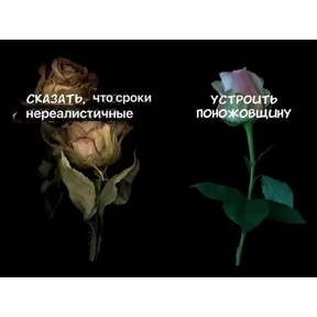 Работаработа перейди на Федота — стикер для MAX