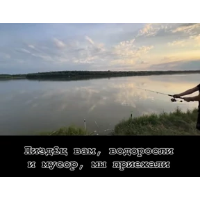 Пак — стикер для MAX