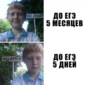 Стикер