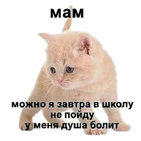 Стикербум_ученики — стикер для MAX