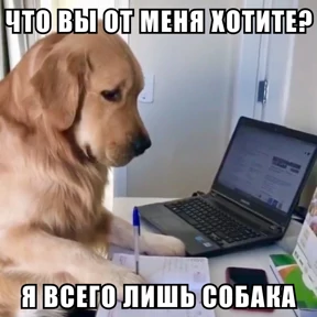 Стикербум_ученики — стикер для MAX