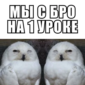 Стикербум_ученики — стикер для MAX