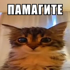 Стикербум_ученики — стикер для MAX