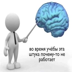 Стикербум_ученики — стикер для MAX