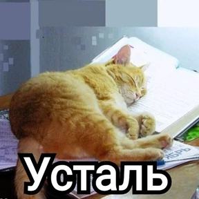 Стикербум_ученики — стикер для MAX