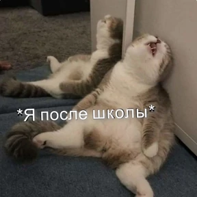 Стикербум_ученики — стикер для MAX