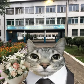 Стикербум_ученики — стикер для MAX
