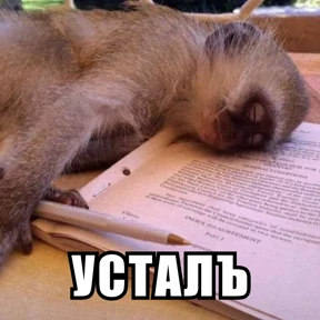 Стикербум_ученики — стикер для MAX