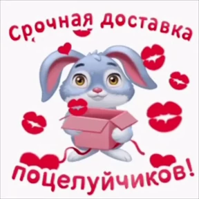 жизнь — стикер для MAX