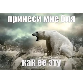 Стикеры — стикер для MAX